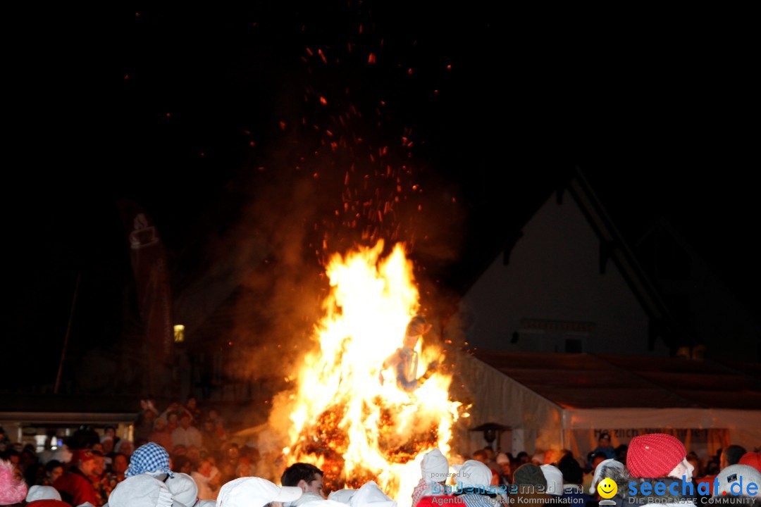 Hemdglonker: Singen am Bodensee, 07.02.2013