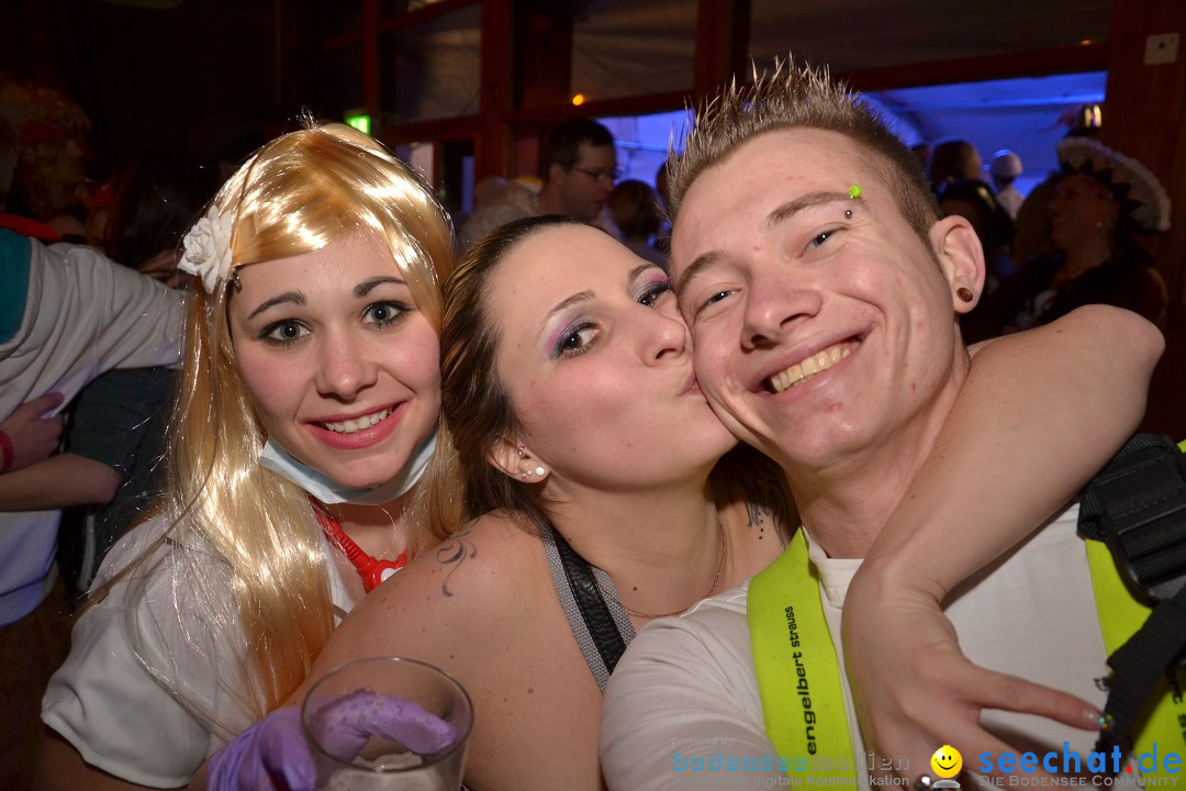 Stierball 2013 mit CRASH: Wahlwies am Bodensee, 08.02.2013
