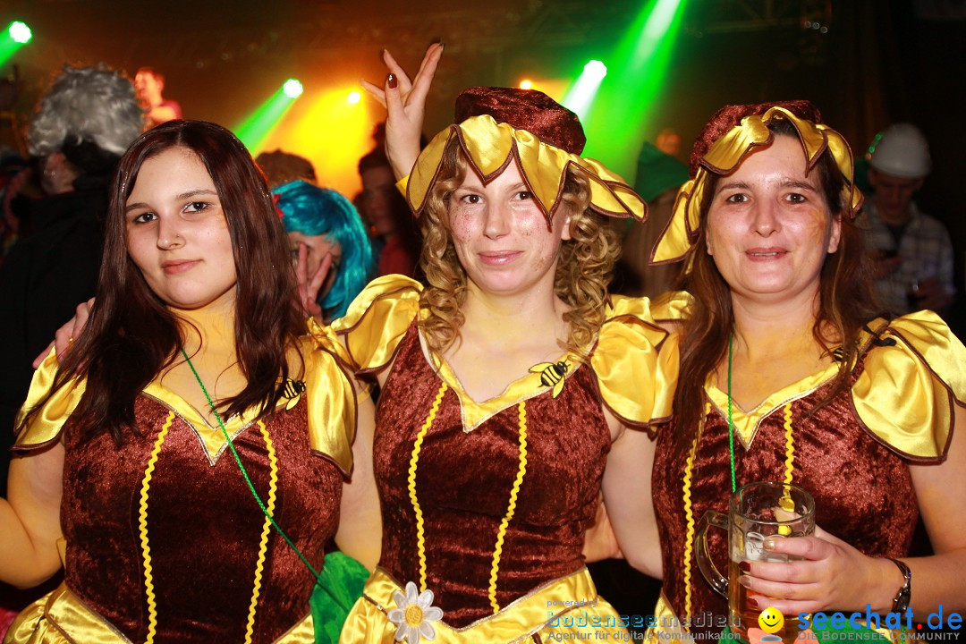 Stierball 2013 mit CRASH: Wahlwies am Bodensee, 08.02.2013