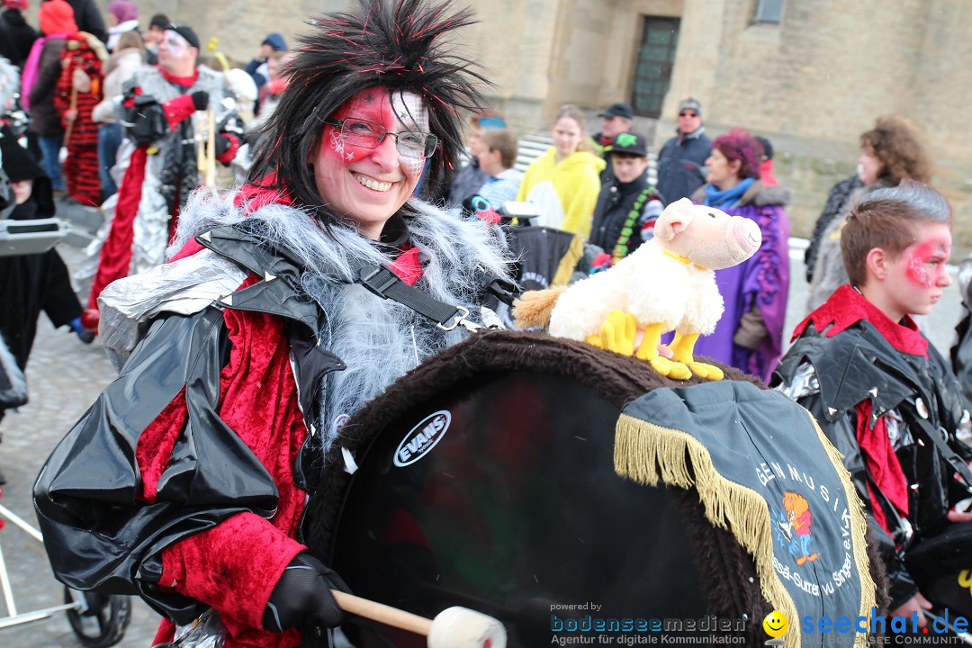 Fasnet - Kinderumzug: Singen am Bodensee, 09.02.2013