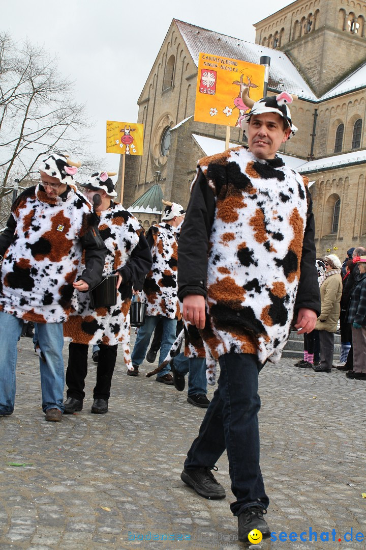 Fasnet - Kinderumzug: Singen am Bodensee, 09.02.2013