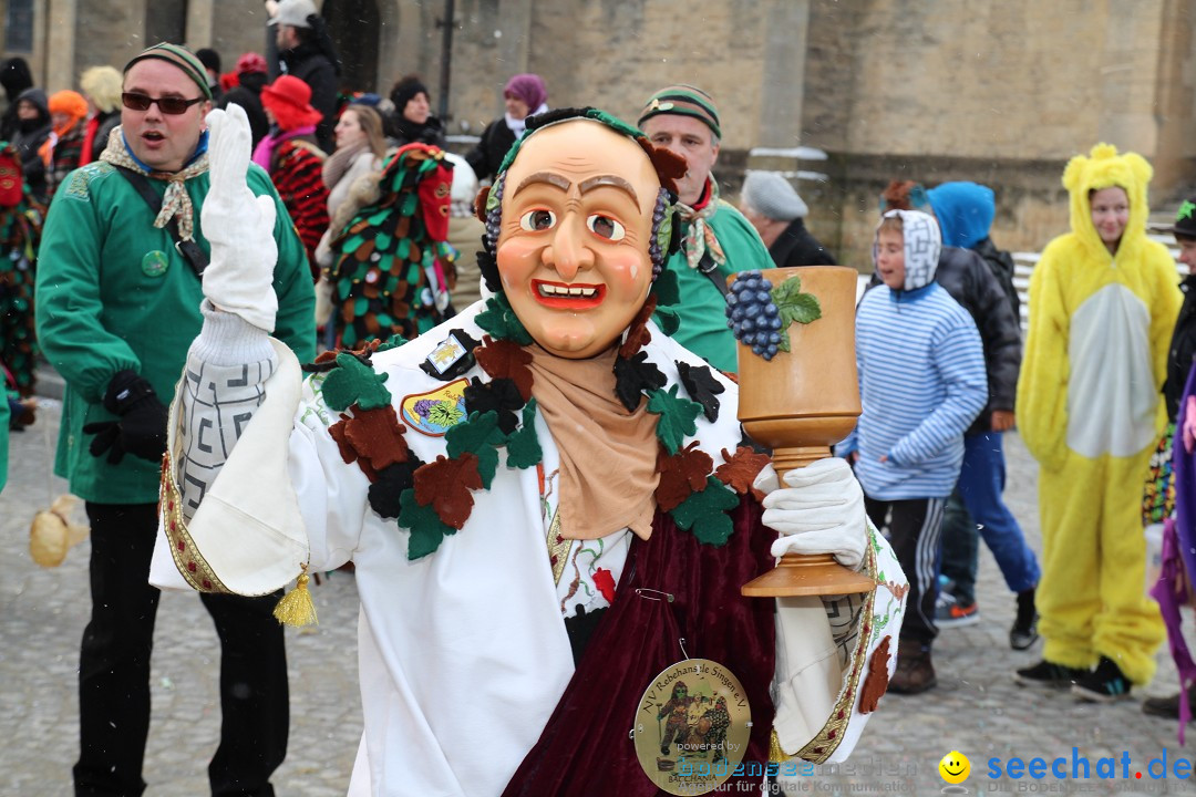 Fasnet - Kinderumzug: Singen am Bodensee, 09.02.2013