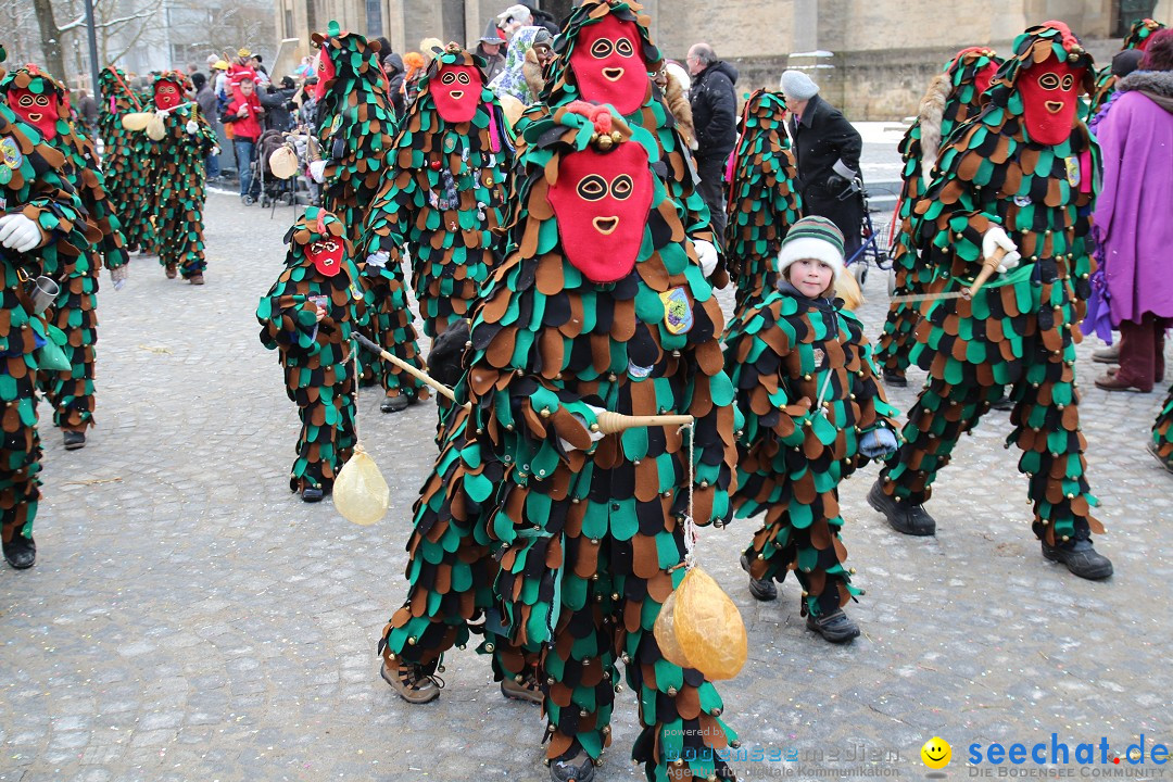 Fasnet - Kinderumzug: Singen am Bodensee, 09.02.2013