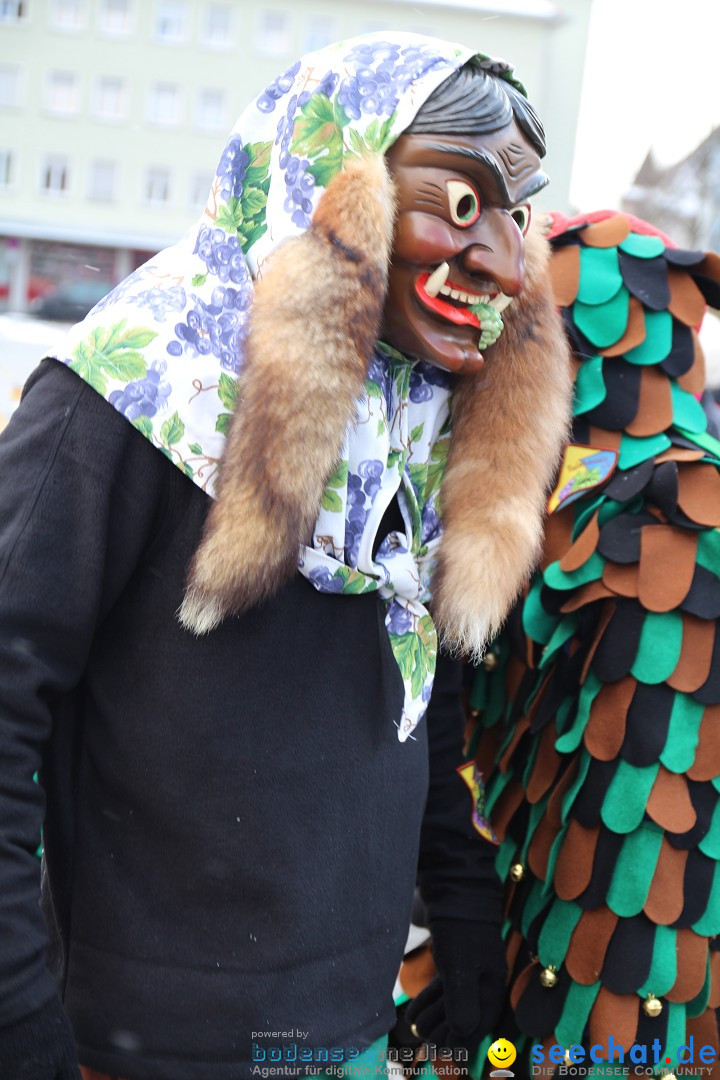 Fasnet - Kinderumzug: Singen am Bodensee, 09.02.2013