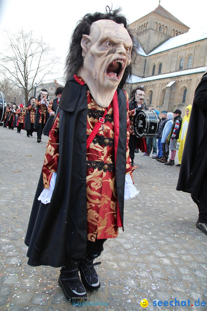 Fasnet - Kinderumzug: Singen am Bodensee, 09.02.2013