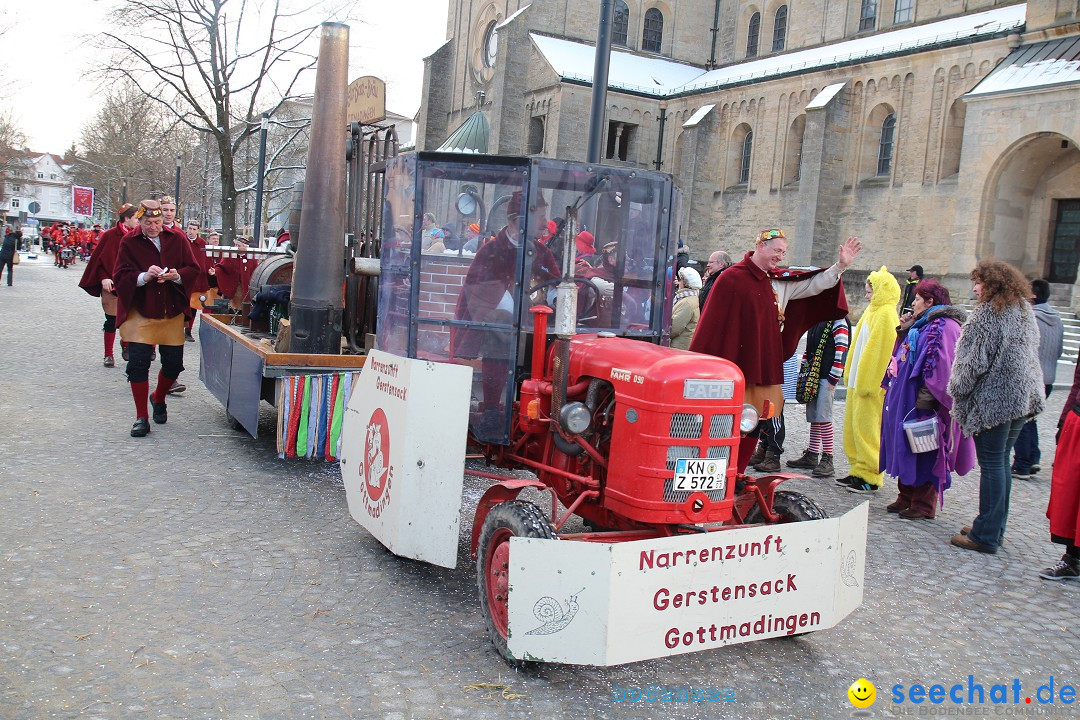 Fasnet - Kinderumzug: Singen am Bodensee, 09.02.2013