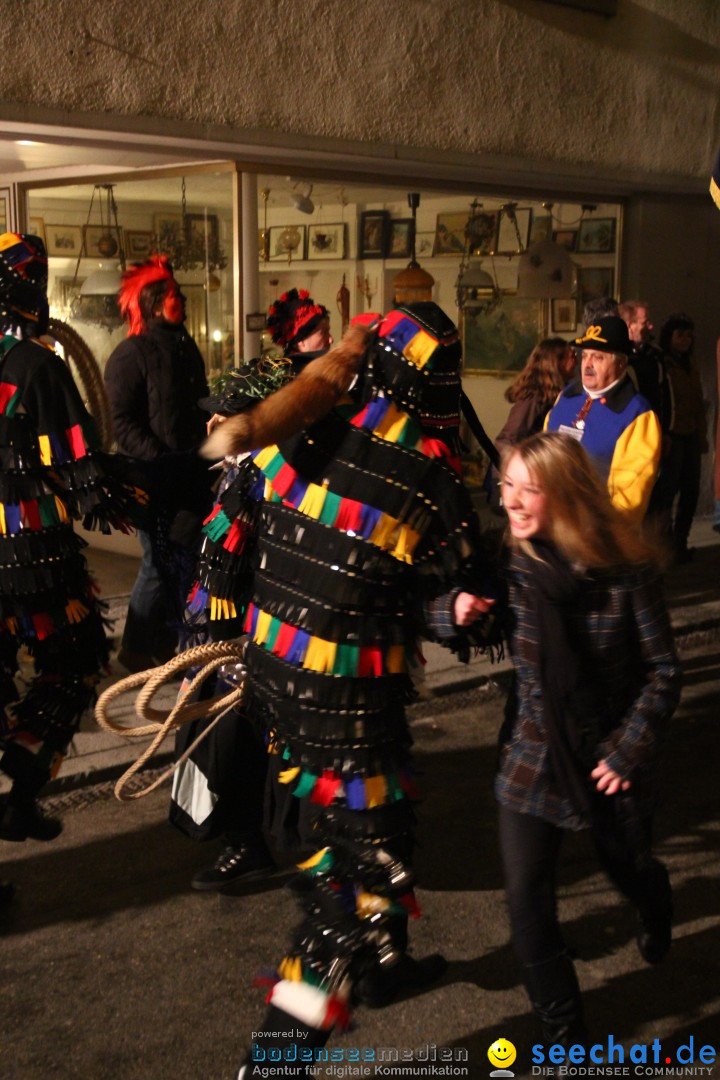 H_nselejuck-_berlingen-09022013-Bodensee-Community-SEECHAT_DE-IMG_7098.JPG