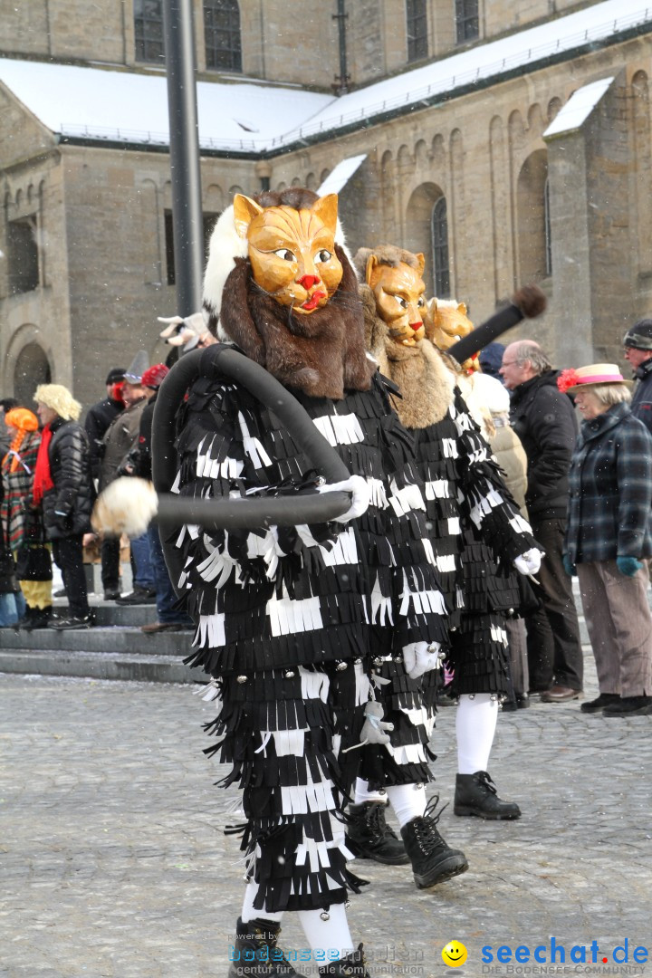 Fasnet - Kinderumzug: Singen am Bodensee, 09.02.2013