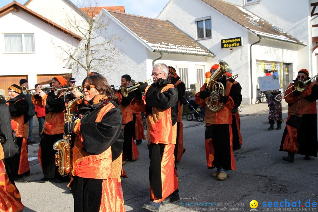 Fasnets Umzug: Hilzingen am Bodensee, 10.02.2013