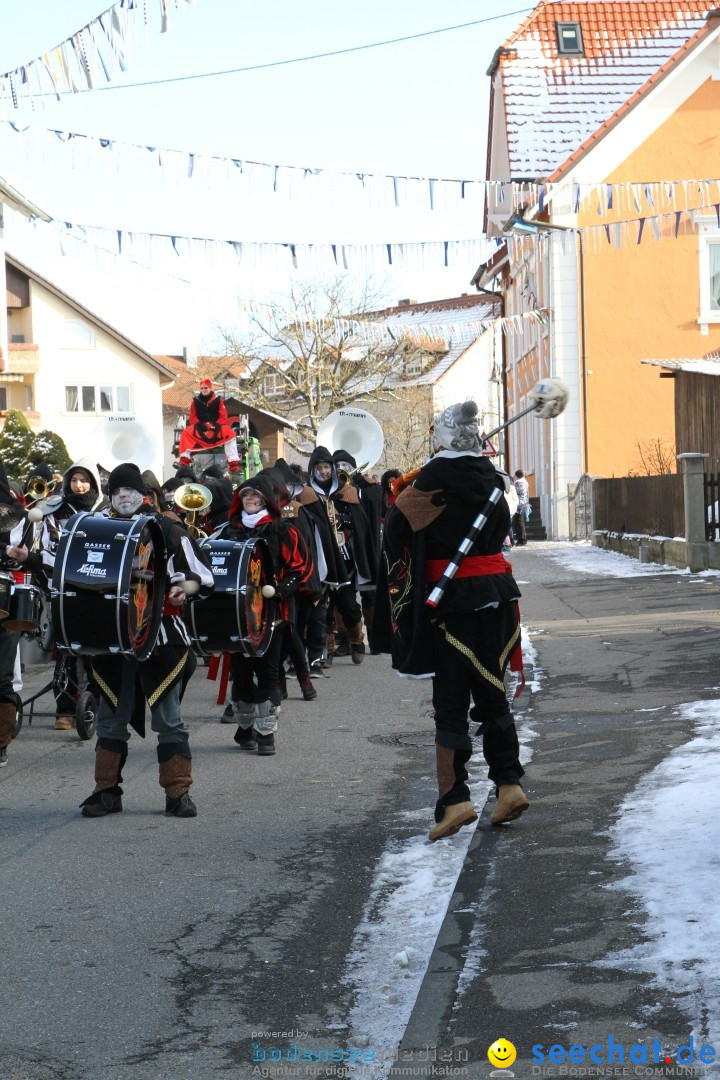 Fasnets Umzug: Hilzingen am Bodensee, 10.02.2013