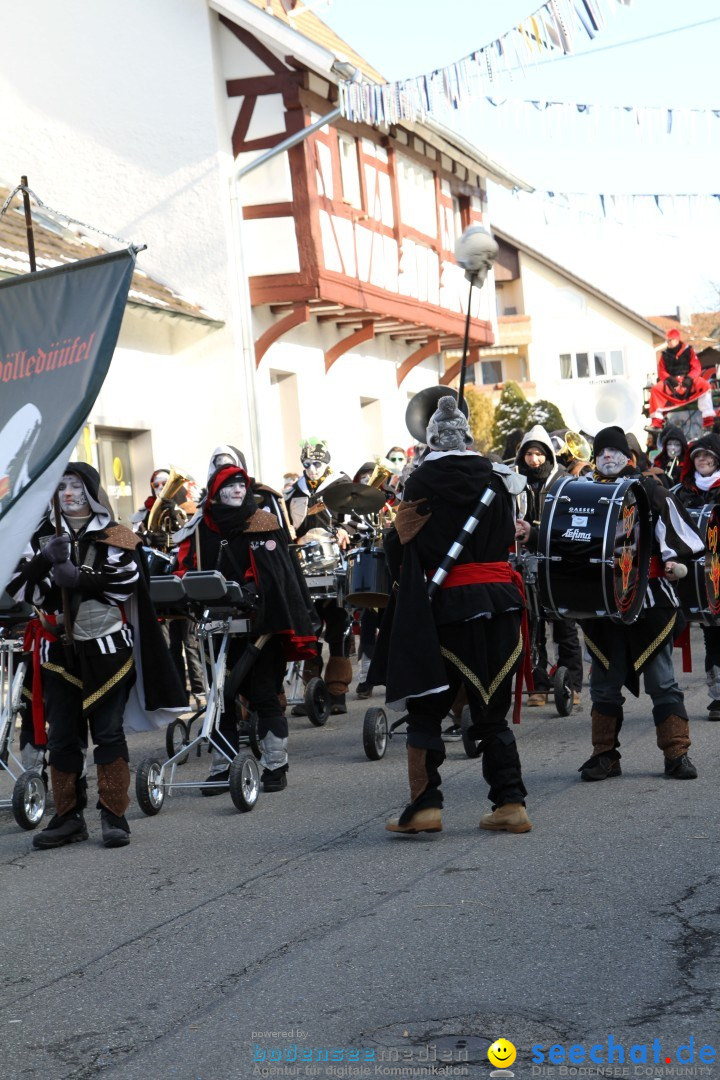 Fasnets Umzug: Hilzingen am Bodensee, 10.02.2013