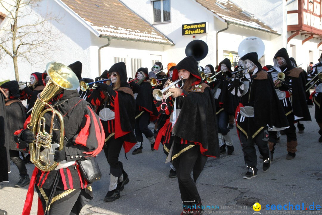 Fasnets Umzug: Hilzingen am Bodensee, 10.02.2013