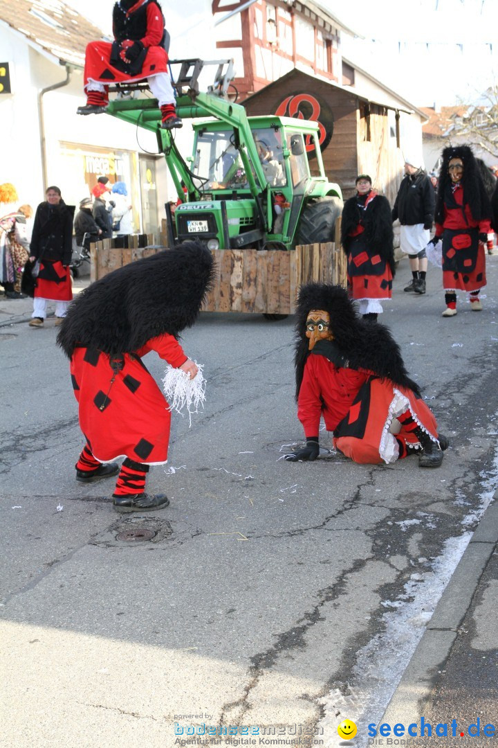 Fasnets Umzug: Hilzingen am Bodensee, 10.02.2013