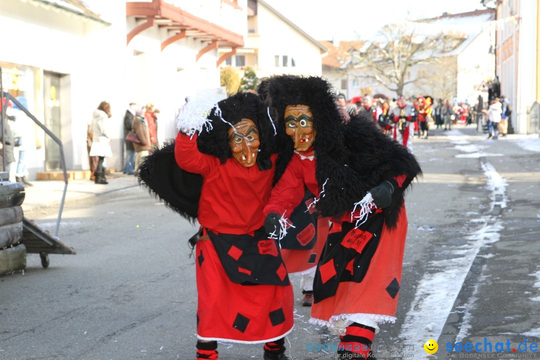 Fasnets Umzug: Hilzingen am Bodensee, 10.02.2013
