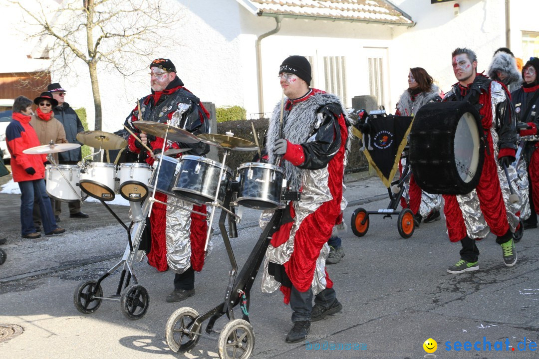 Fasnets Umzug: Hilzingen am Bodensee, 10.02.2013