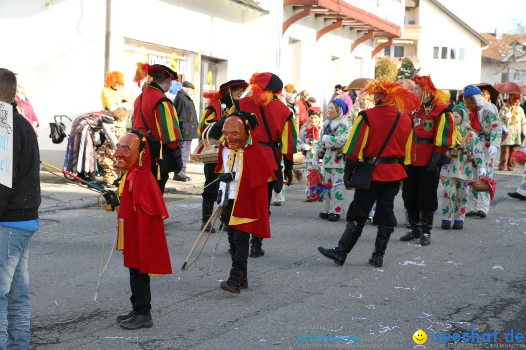 Fasnets Umzug: Hilzingen am Bodensee, 10.02.2013