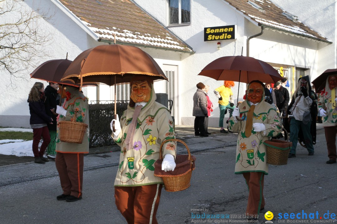 Fasnets Umzug: Hilzingen am Bodensee, 10.02.2013