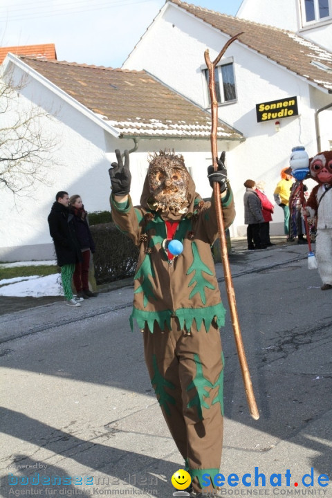 Fasnets Umzug: Hilzingen am Bodensee, 10.02.2013