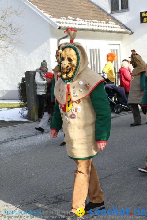 Fasnets Umzug: Hilzingen am Bodensee, 10.02.2013