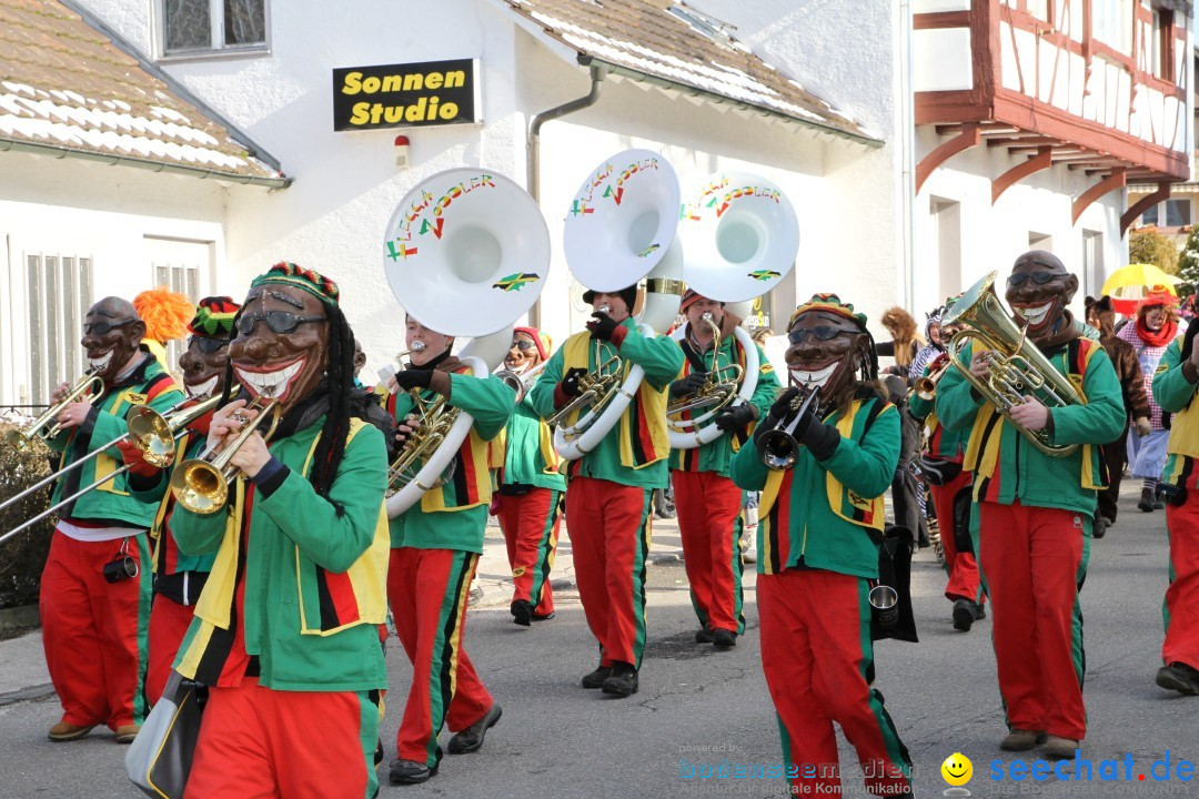 Fasnets Umzug: Hilzingen am Bodensee, 10.02.2013