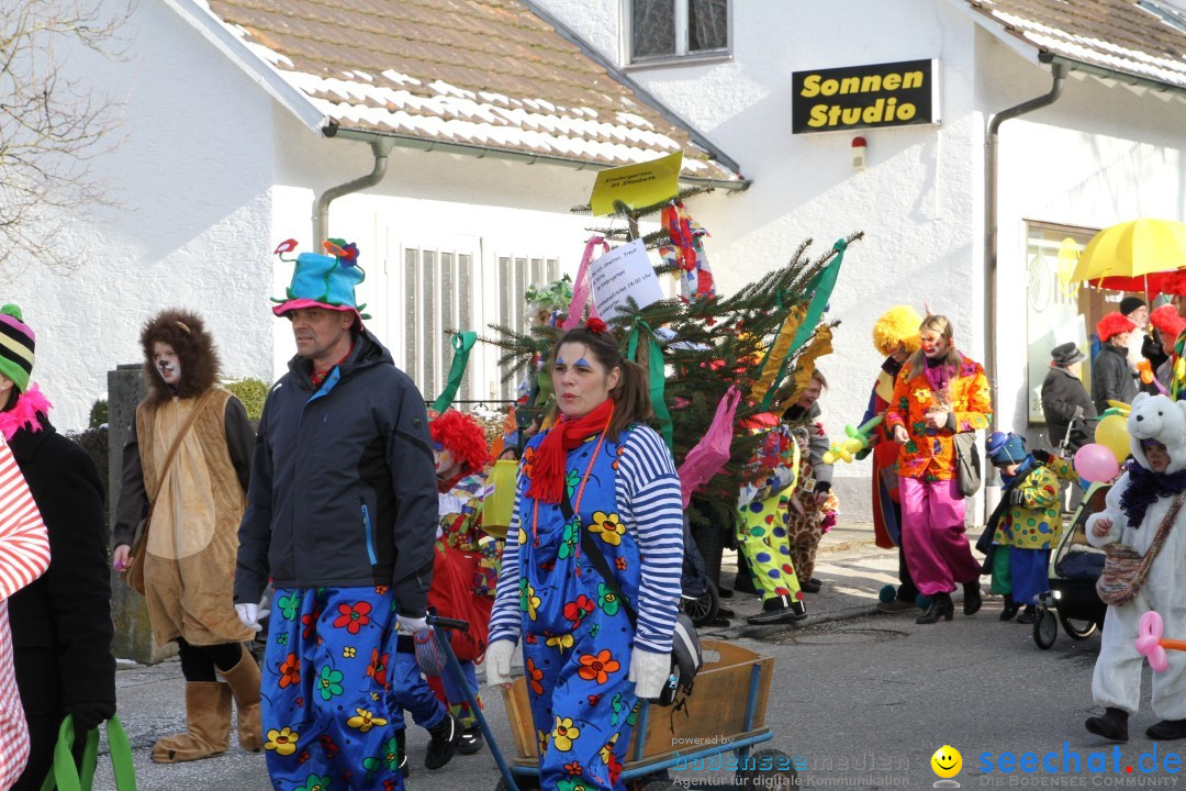 Fasnets Umzug: Hilzingen am Bodensee, 10.02.2013