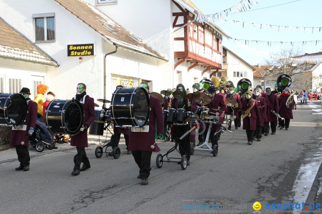 Fasnets Umzug: Hilzingen am Bodensee, 10.02.2013