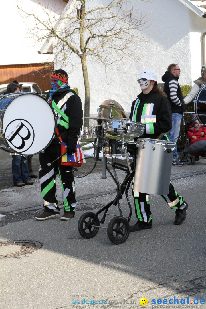Fasnets Umzug: Hilzingen am Bodensee, 10.02.2013