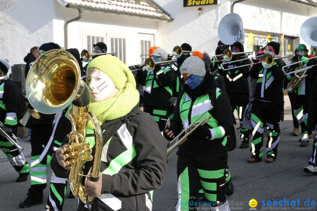 Fasnets Umzug: Hilzingen am Bodensee, 10.02.2013