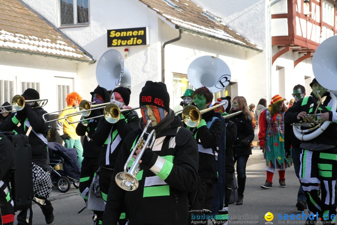 Fasnets Umzug: Hilzingen am Bodensee, 10.02.2013
