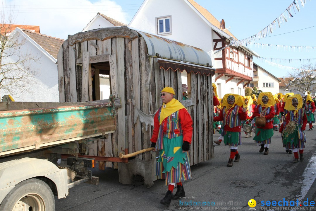 Fasnets Umzug: Hilzingen am Bodensee, 10.02.2013