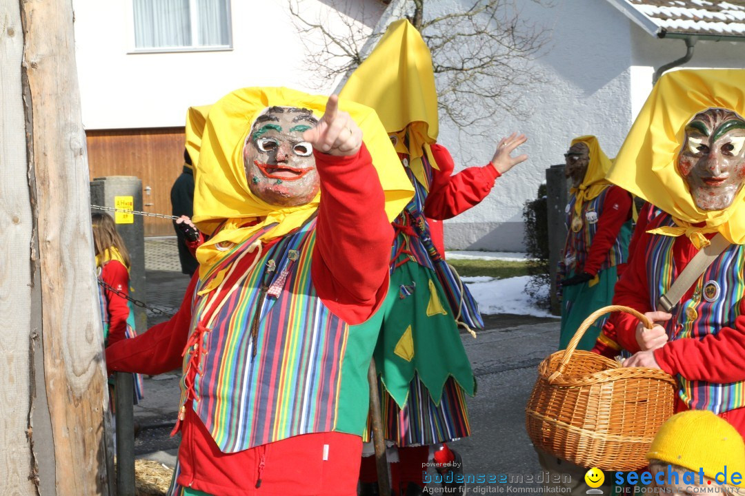 Fasnets Umzug: Hilzingen am Bodensee, 10.02.2013
