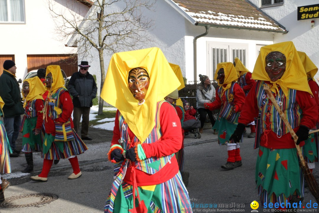 Fasnets Umzug: Hilzingen am Bodensee, 10.02.2013