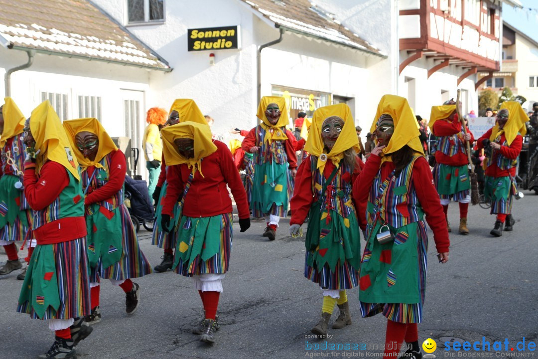 Fasnets Umzug: Hilzingen am Bodensee, 10.02.2013
