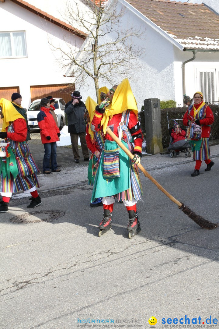 Fasnets Umzug: Hilzingen am Bodensee, 10.02.2013