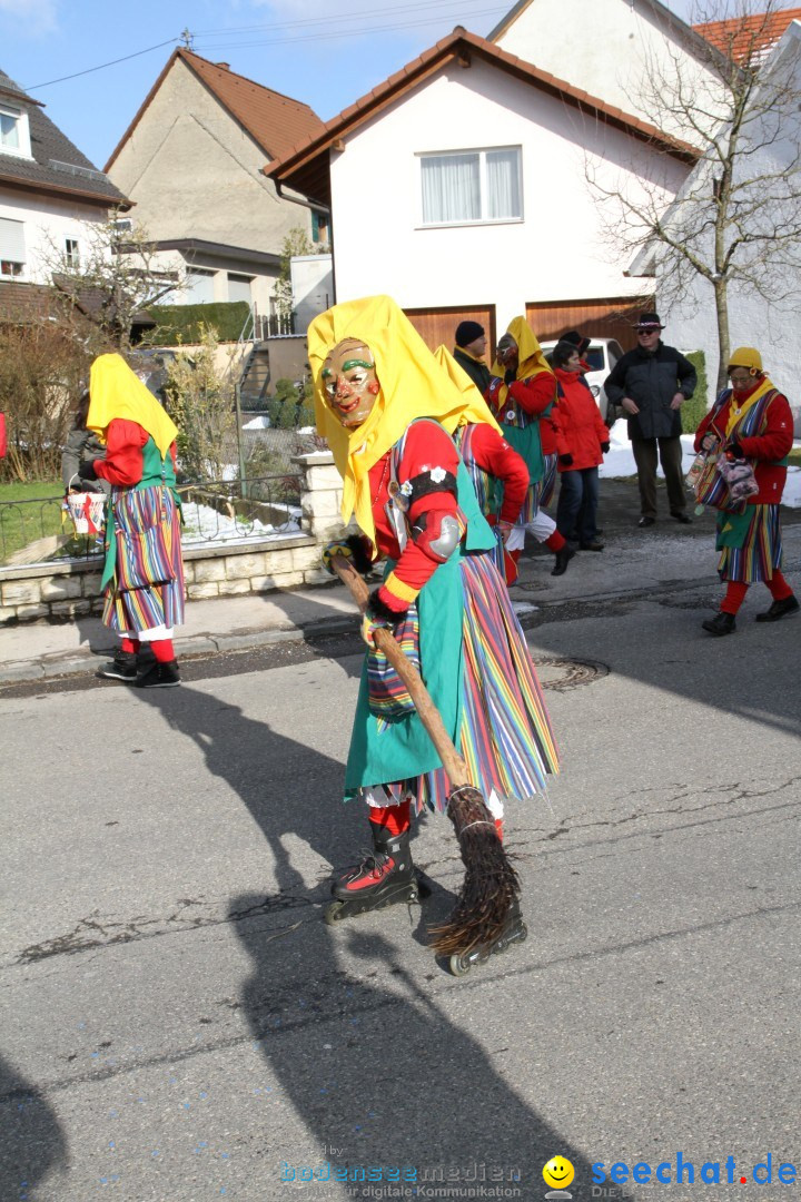 Fasnets Umzug: Hilzingen am Bodensee, 10.02.2013
