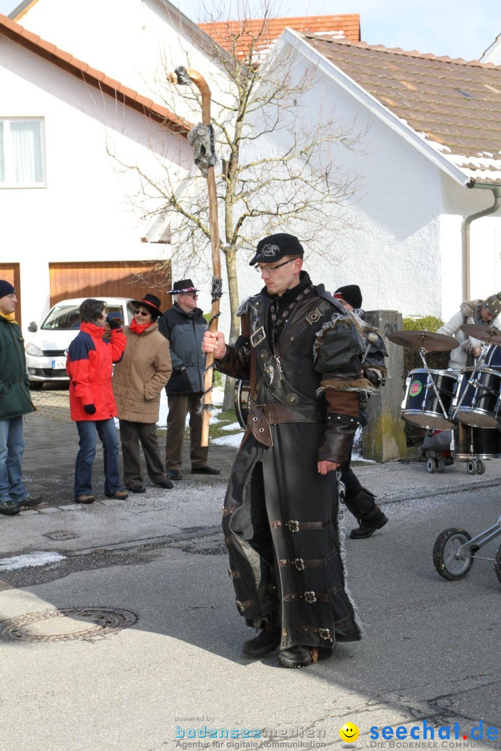 Fasnets Umzug: Hilzingen am Bodensee, 10.02.2013