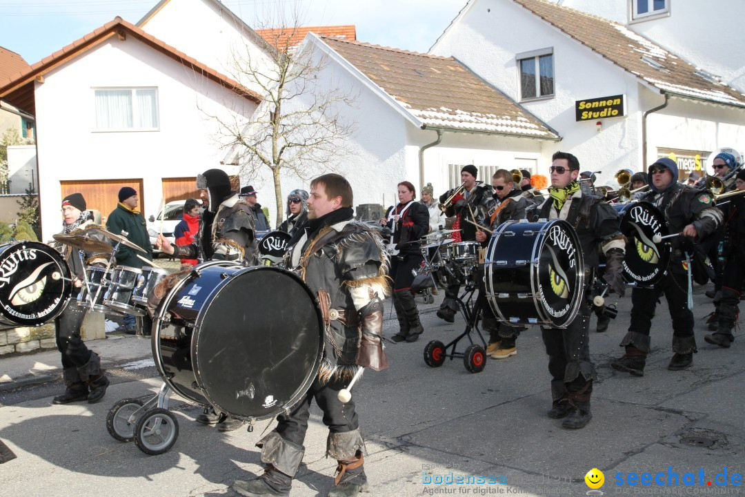 Fasnets Umzug: Hilzingen am Bodensee, 10.02.2013