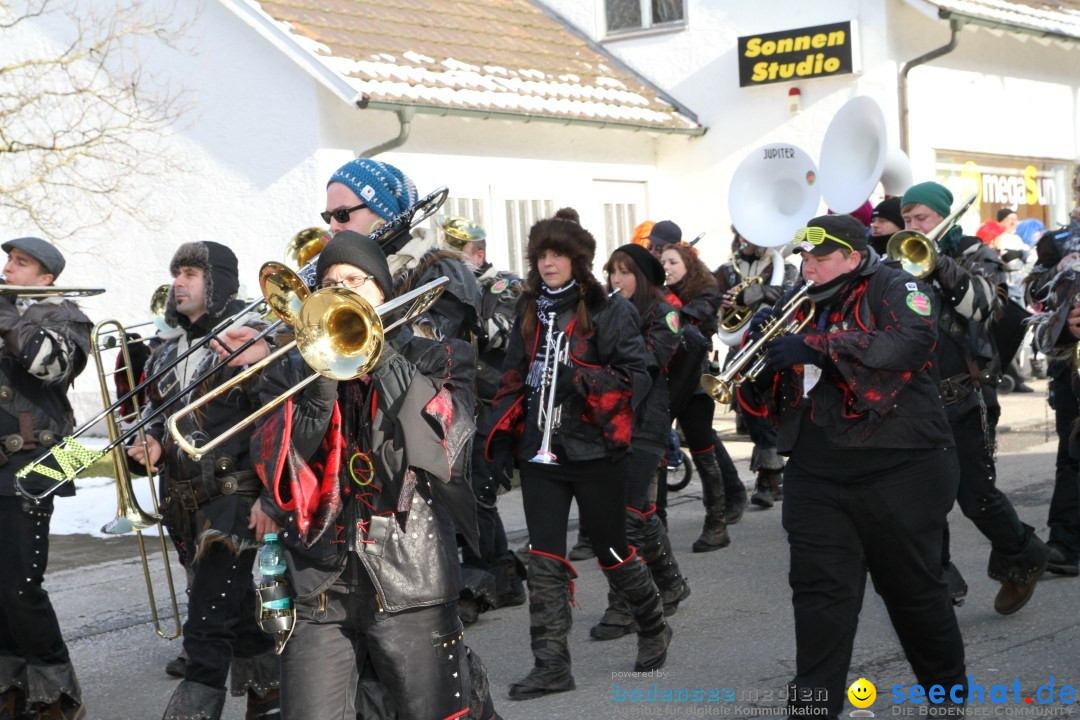 Fasnets Umzug: Hilzingen am Bodensee, 10.02.2013