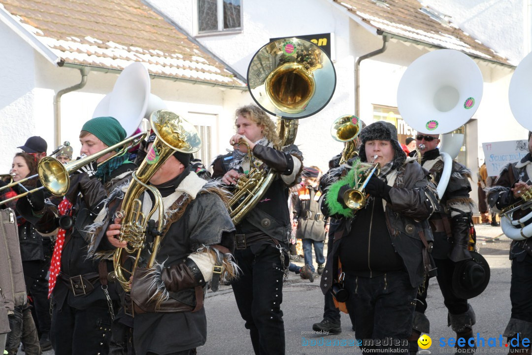 Fasnets Umzug: Hilzingen am Bodensee, 10.02.2013