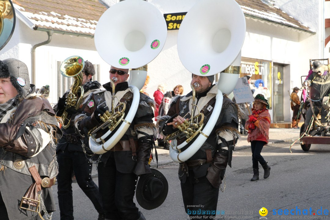 Fasnets Umzug: Hilzingen am Bodensee, 10.02.2013