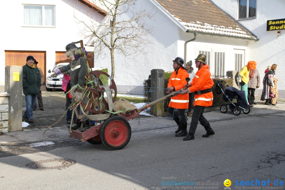 Fasnets Umzug: Hilzingen am Bodensee, 10.02.2013