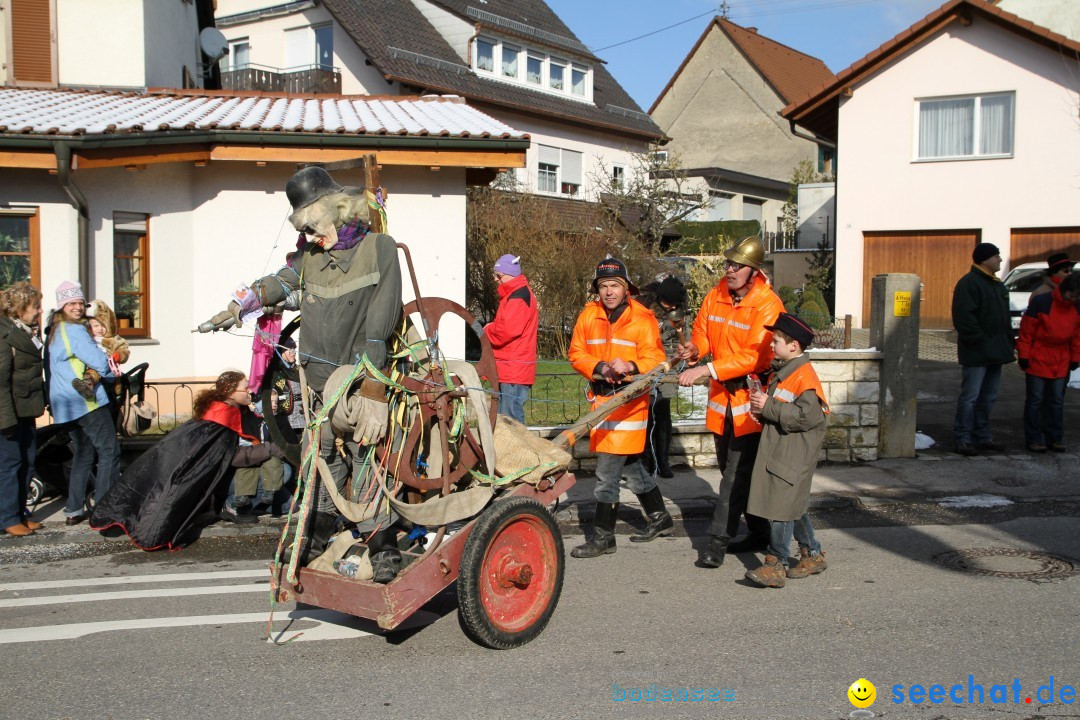 Fasnets Umzug: Hilzingen am Bodensee, 10.02.2013