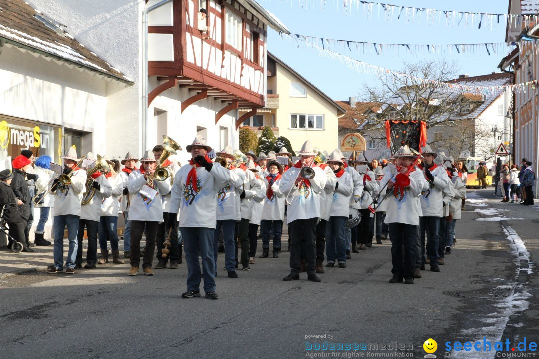 Fasnets Umzug: Hilzingen am Bodensee, 10.02.2013