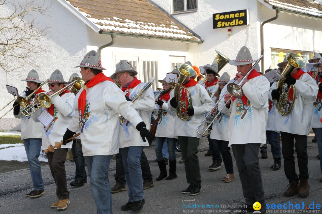 Fasnets Umzug: Hilzingen am Bodensee, 10.02.2013