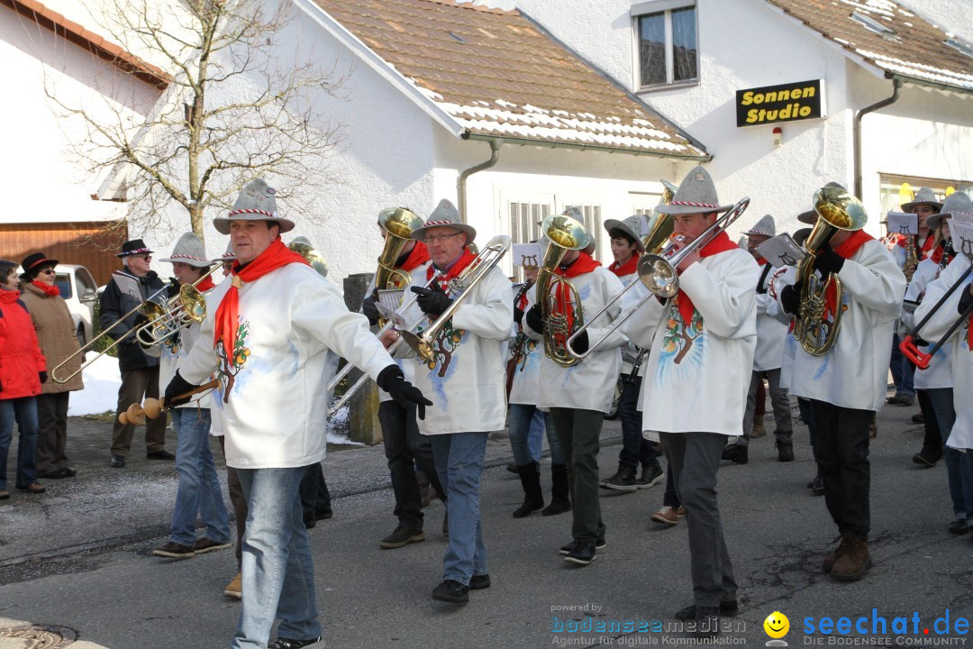 Fasnets Umzug: Hilzingen am Bodensee, 10.02.2013