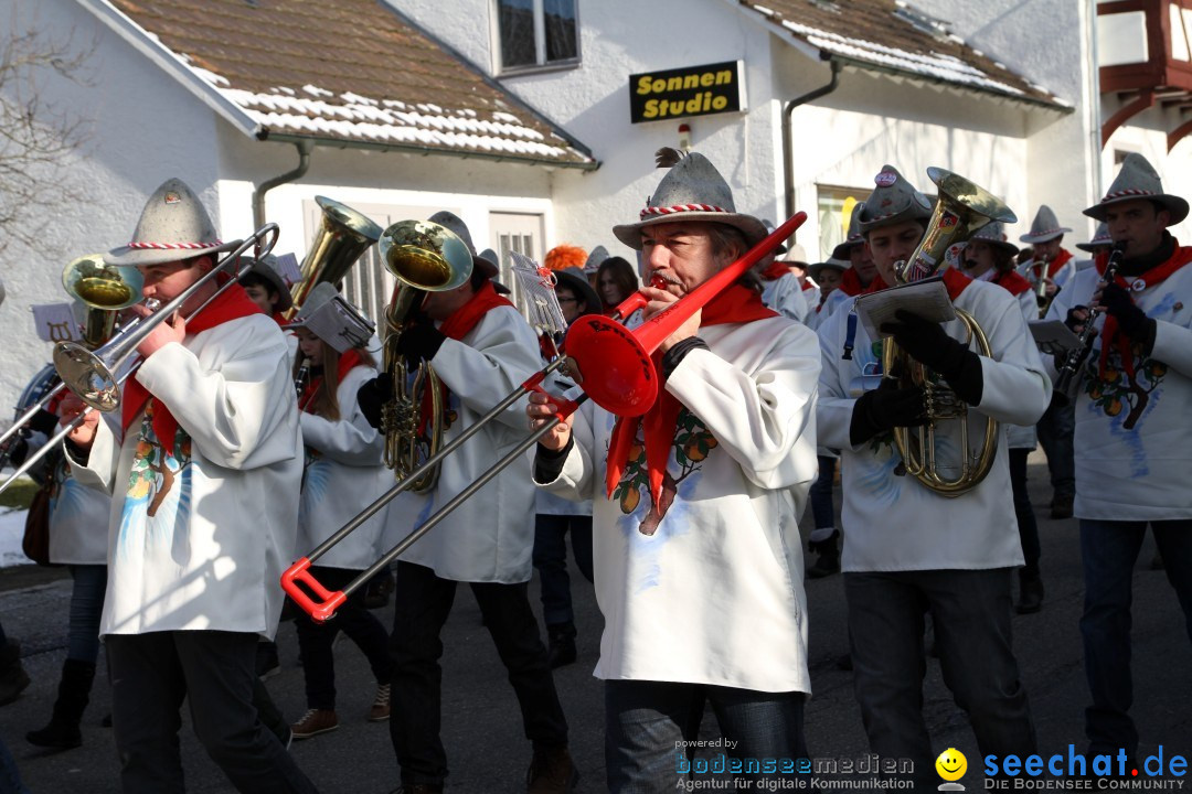 Fasnets Umzug: Hilzingen am Bodensee, 10.02.2013