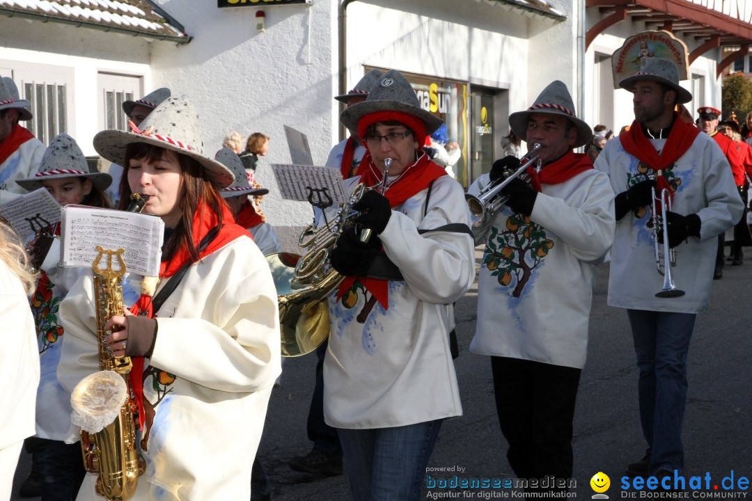 Fasnets Umzug: Hilzingen am Bodensee, 10.02.2013