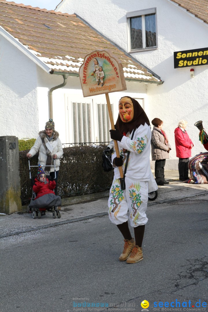 Fasnets Umzug: Hilzingen am Bodensee, 10.02.2013
