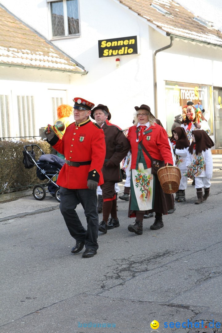 Fasnets Umzug: Hilzingen am Bodensee, 10.02.2013