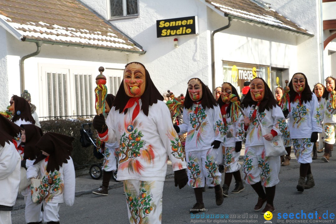 Fasnets Umzug: Hilzingen am Bodensee, 10.02.2013
